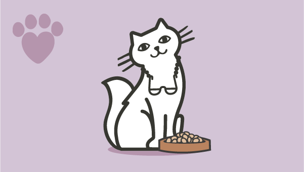 Feeding your senior cat image